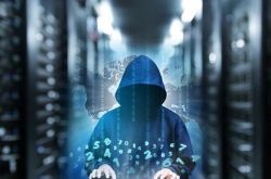 [6分钟教程]凉山彝族自治州官网_哔哩哔哩-2